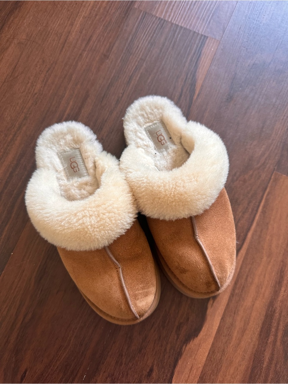 UGG Chestnut Suede Mule Slippers with Cream Sheepskin Collar